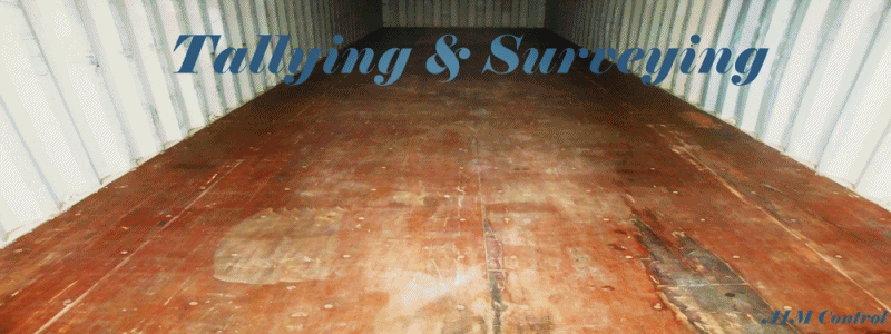 Container_cargo_tallying_services_loading_discharging_in_Vietnam